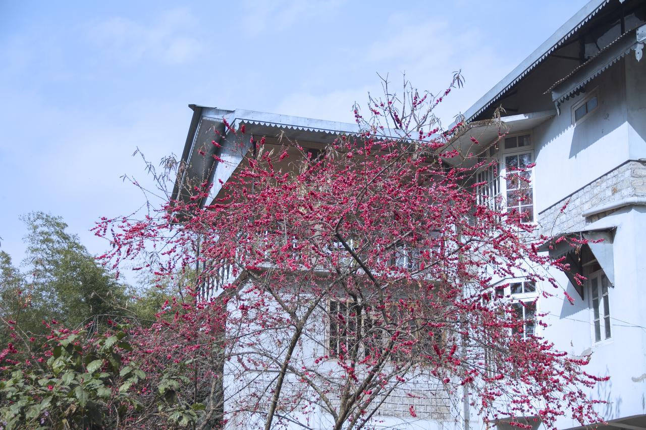 The Mazong Hotel Gangtok Bagian luar foto